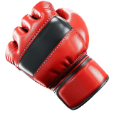 mma icon