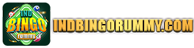 Ind Bingo Rummy logo